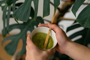 Kratom and probiotics Kratom and probiotics